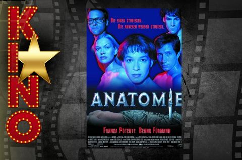 Kino - Anatomie