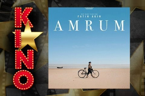 Kino - Amrum!